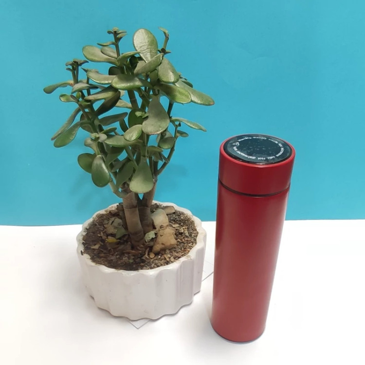 تراول ماگ دیجیتالی دماسنج دار استوانه ای